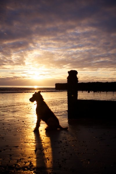 NYEBrody Beach 020111 2002